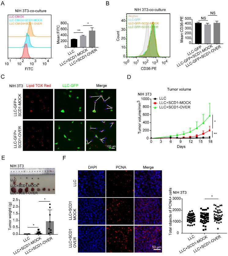 https://cdn.ncbi.nlm.nih.gov/pmc/blobs/a3f3/9682541/bb786ceb64f8/ijbsv18p6114g005.jpg
