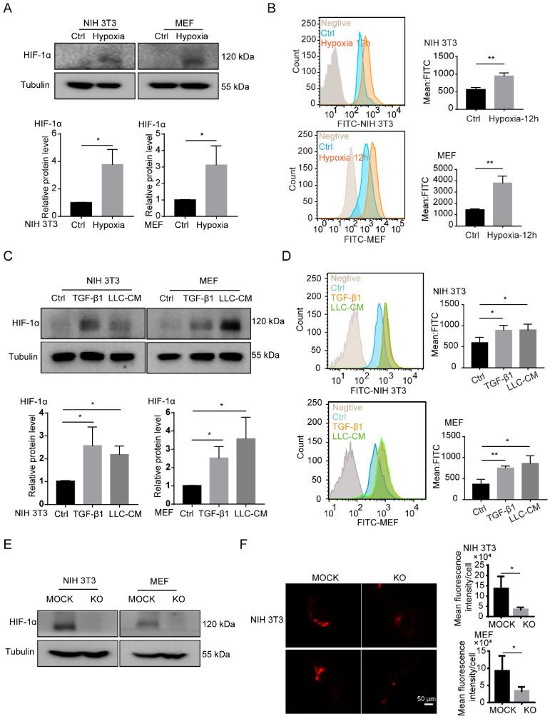 https://cdn.ncbi.nlm.nih.gov/pmc/blobs/a3f3/9682541/c33b770b5bd8/ijbsv18p6114g003.jpg