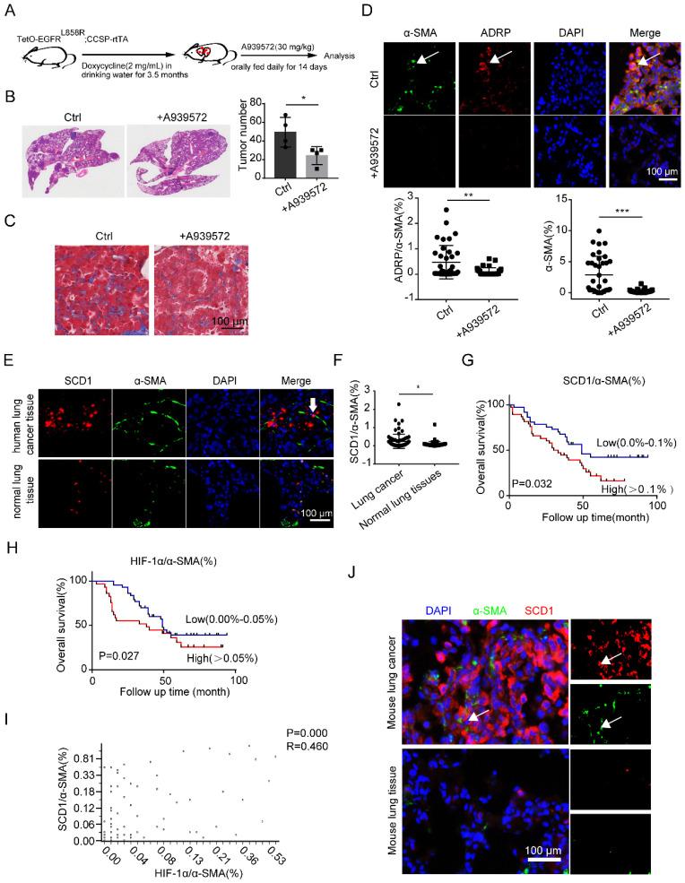 https://cdn.ncbi.nlm.nih.gov/pmc/blobs/a3f3/9682541/cf9fec83ec2b/ijbsv18p6114g006.jpg