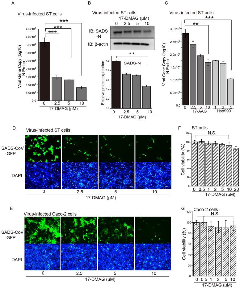 https://cdn.ncbi.nlm.nih.gov/pmc/blobs/a3f5/10194284/4f0b75806476/gr1.jpg