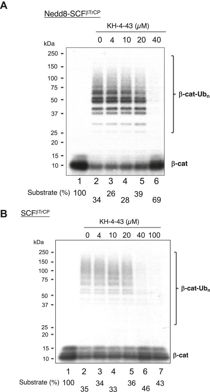 https://cdn.ncbi.nlm.nih.gov/pmc/blobs/a3f5/10950867/23598d9d4c94/gr8.jpg