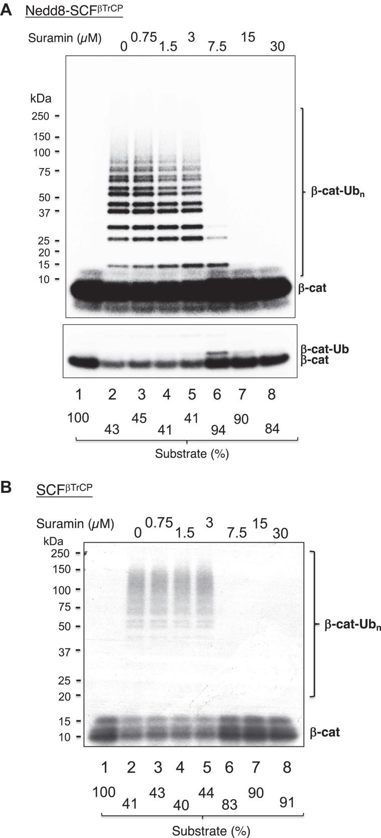 https://cdn.ncbi.nlm.nih.gov/pmc/blobs/a3f5/10950867/3d363a2630bb/gr9.jpg
