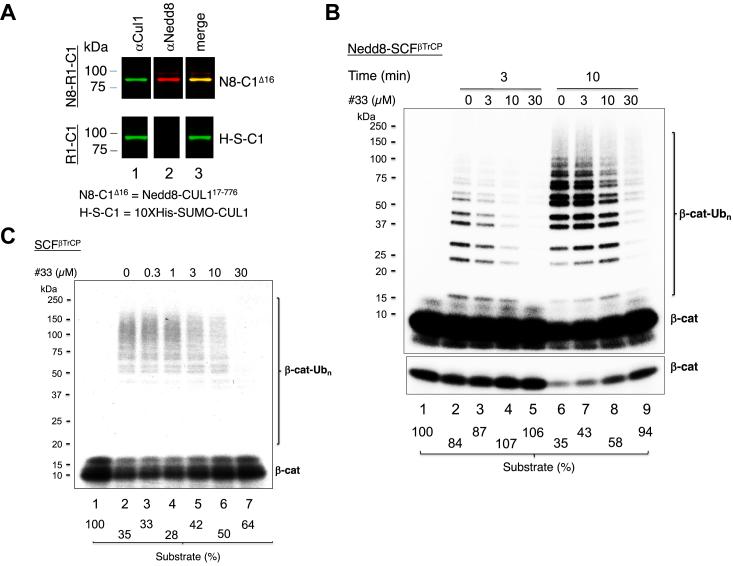 https://cdn.ncbi.nlm.nih.gov/pmc/blobs/a3f5/10950867/6560b3c123b3/gr7.jpg
