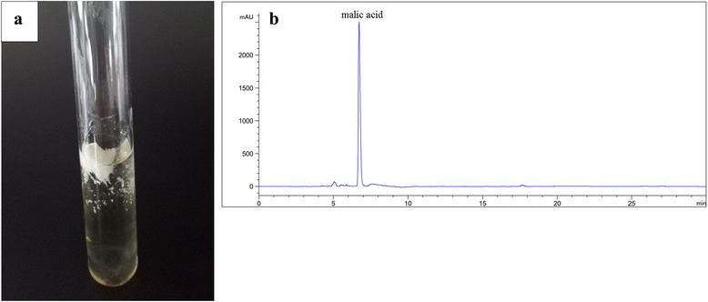 https://cdn.ncbi.nlm.nih.gov/pmc/blobs/a3f6/5324199/276832b70ea4/12896_2017_340_Fig2_HTML.jpg