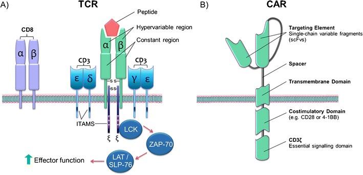 https://cdn.ncbi.nlm.nih.gov/pmc/blobs/a3fb/5445182/a4bde795aeb0/40778_2017_77_Fig2_HTML.jpg