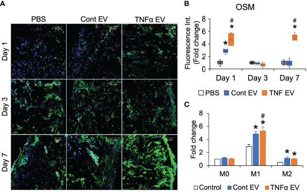 https://cdn.ncbi.nlm.nih.gov/pmc/blobs/a3fb/9108364/4c6ed89186d1/fimmu-13-878194-g005.jpg