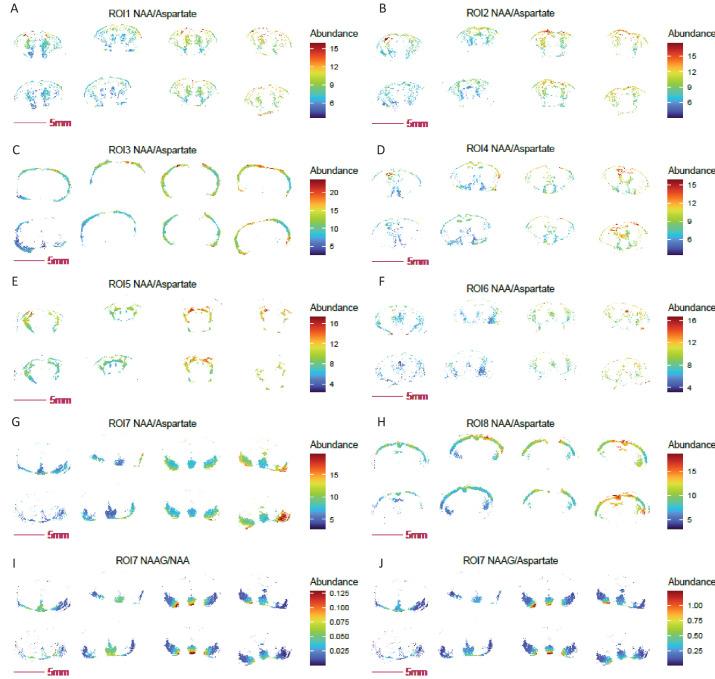 https://cdn.ncbi.nlm.nih.gov/pmc/blobs/a3fd/11919253/c72bb23f42cc/elife-96892-fig8-figsupp3.jpg