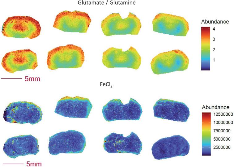 https://cdn.ncbi.nlm.nih.gov/pmc/blobs/a3fd/11919253/d54b571c73ff/elife-96892-fig5-figsupp1.jpg