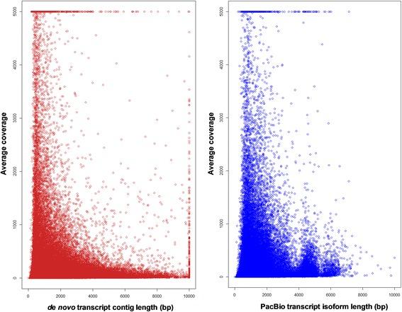 https://cdn.ncbi.nlm.nih.gov/pmc/blobs/a3fd/5440902/9591e4877d6c/12864_2017_3757_Fig2_HTML.jpg