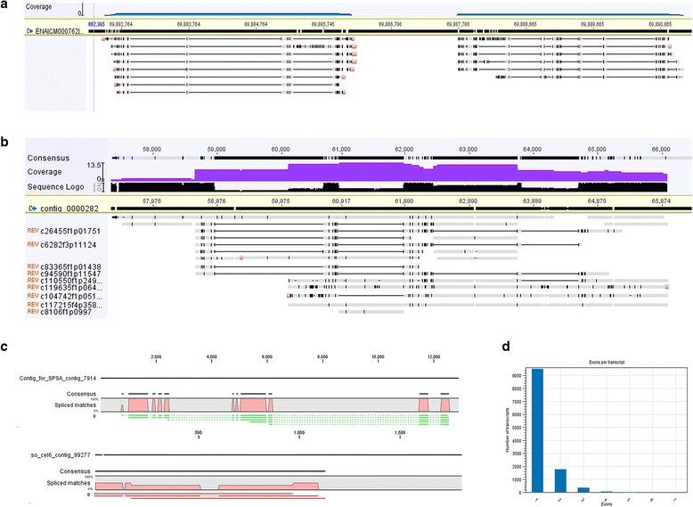 https://cdn.ncbi.nlm.nih.gov/pmc/blobs/a3fd/5440902/cd7068353579/12864_2017_3757_Fig4_HTML.jpg