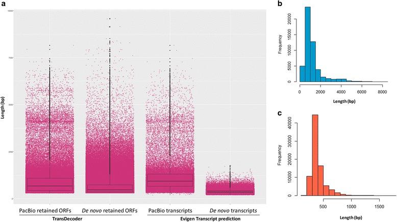 https://cdn.ncbi.nlm.nih.gov/pmc/blobs/a3fd/5440902/f4c6a46a9d84/12864_2017_3757_Fig5_HTML.jpg