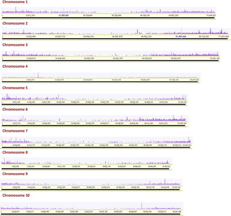 https://cdn.ncbi.nlm.nih.gov/pmc/blobs/a3fd/5440902/fe76a14f590b/12864_2017_3757_Fig8_HTML.jpg