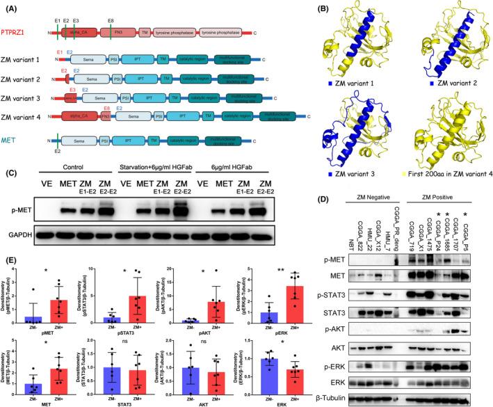 https://cdn.ncbi.nlm.nih.gov/pmc/blobs/a3fd/8025647/1fbea3cc46ac/CNS-27-617-g001.jpg