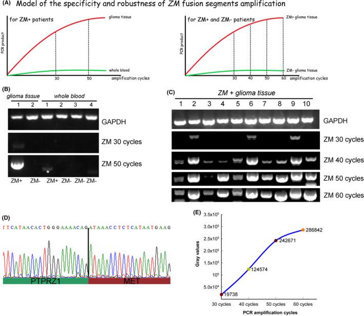 https://cdn.ncbi.nlm.nih.gov/pmc/blobs/a3fd/8025647/5ec11b607068/CNS-27-617-g003.jpg