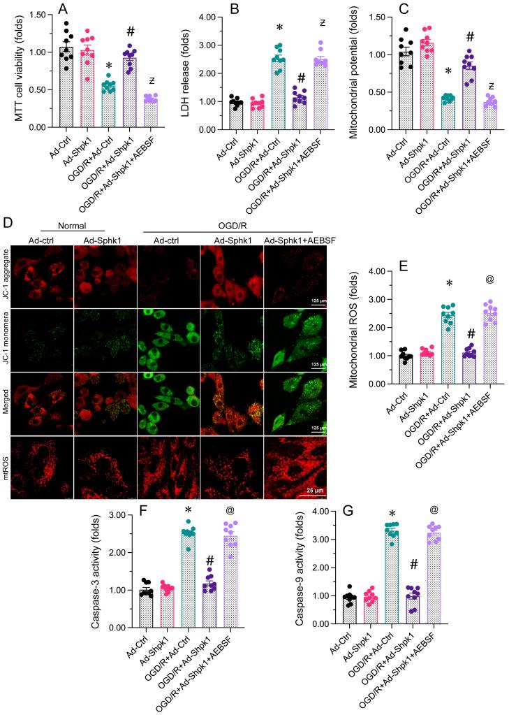 https://cdn.ncbi.nlm.nih.gov/pmc/blobs/a3ff/10496505/04eb06c8bdd8/ijbsv19p4327g007.jpg