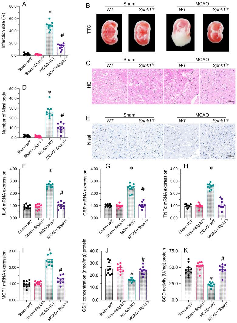 https://cdn.ncbi.nlm.nih.gov/pmc/blobs/a3ff/10496505/0800a0d5c6a9/ijbsv19p4327g006.jpg