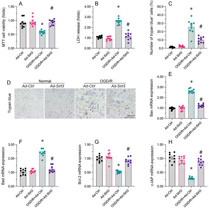 https://cdn.ncbi.nlm.nih.gov/pmc/blobs/a3ff/10496505/3d7bc4d13d0a/ijbsv19p4327g002.jpg