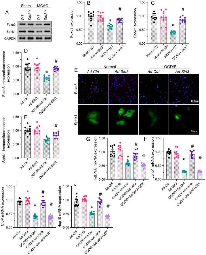 https://cdn.ncbi.nlm.nih.gov/pmc/blobs/a3ff/10496505/5b2058aa1574/ijbsv19p4327g005.jpg