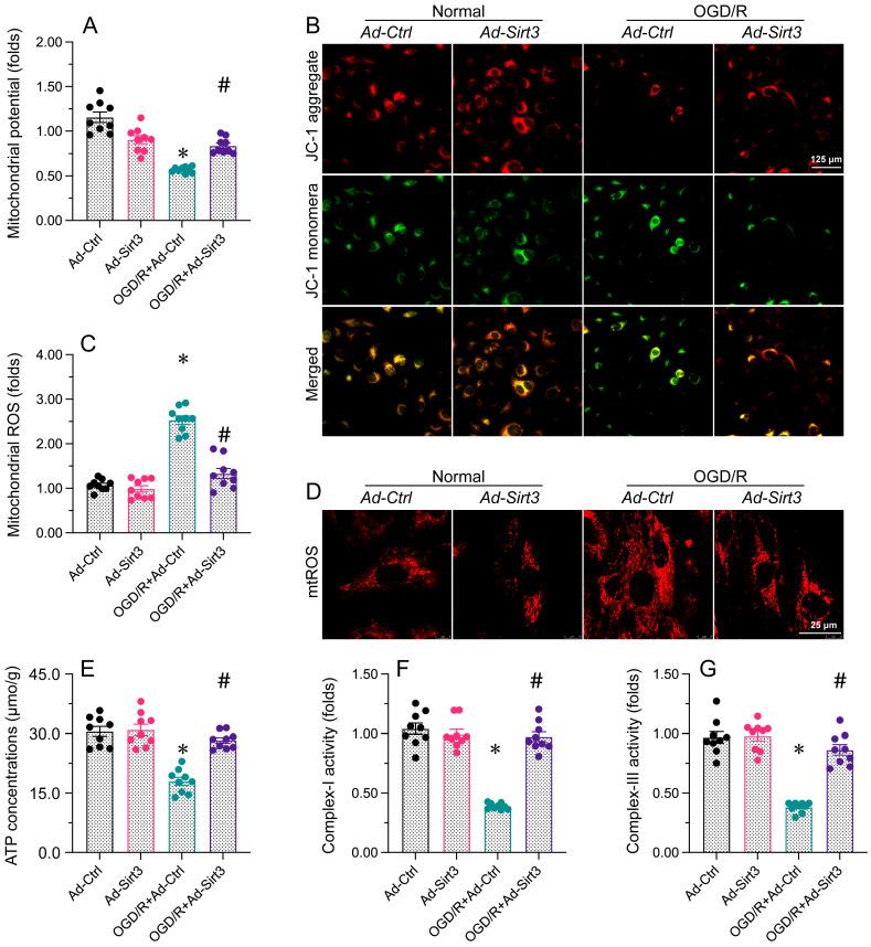 https://cdn.ncbi.nlm.nih.gov/pmc/blobs/a3ff/10496505/60e928ca8b6e/ijbsv19p4327g003.jpg