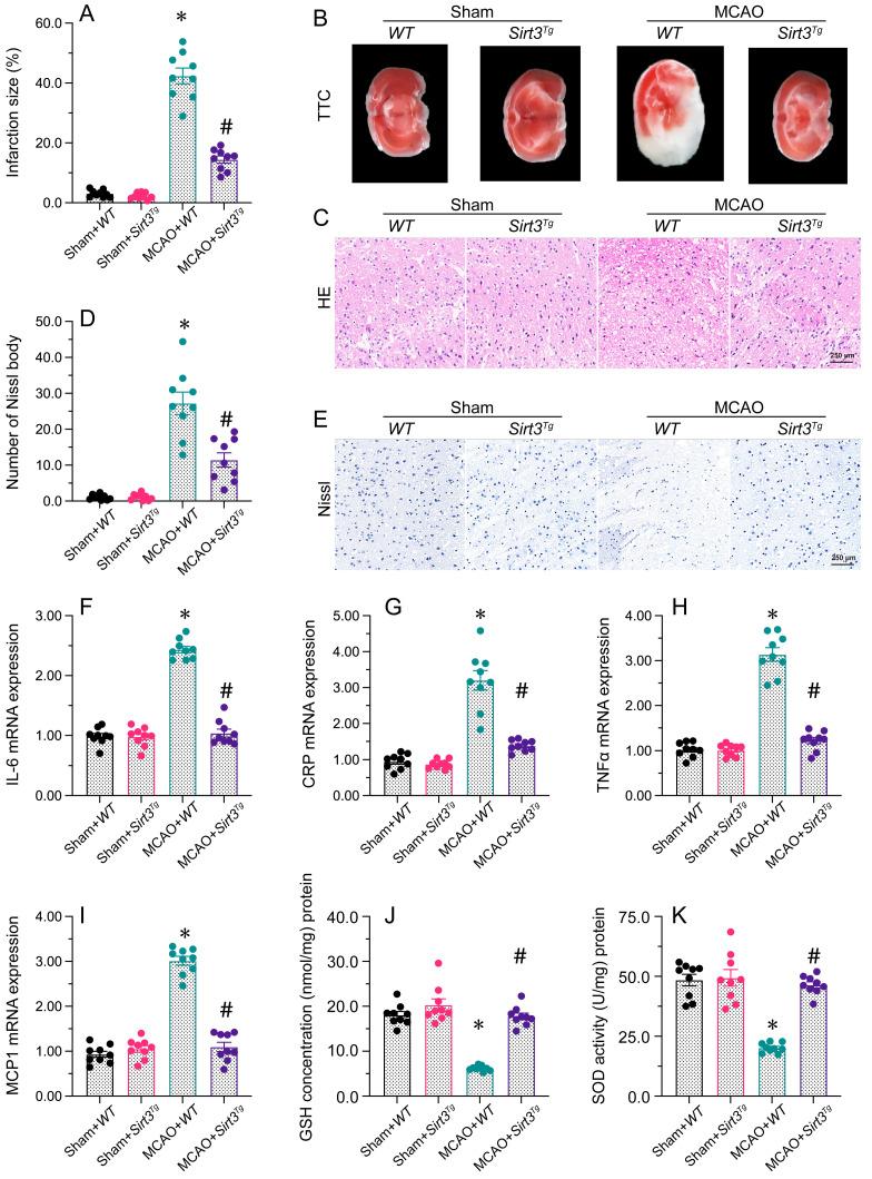 https://cdn.ncbi.nlm.nih.gov/pmc/blobs/a3ff/10496505/65982145a624/ijbsv19p4327g001.jpg