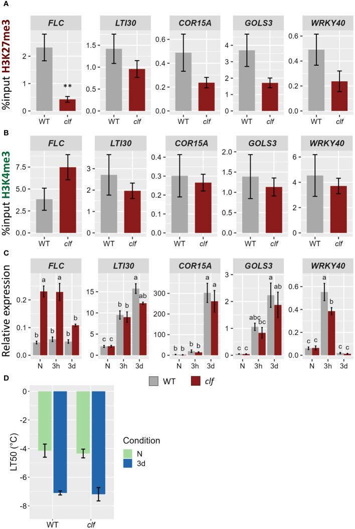 https://cdn.ncbi.nlm.nih.gov/pmc/blobs/a3ff/11056581/6850cdb6db97/fpls-15-1390144-g006.jpg