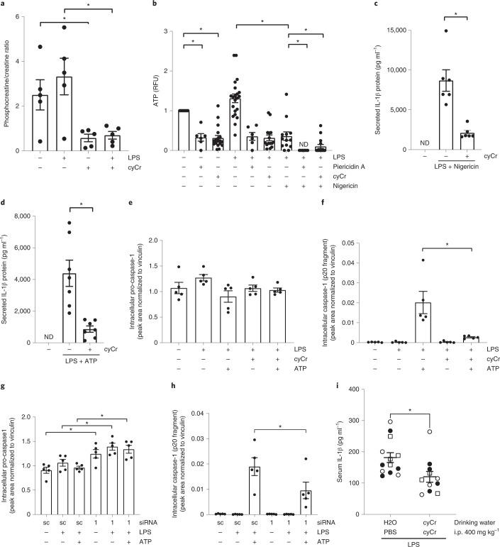 https://cdn.ncbi.nlm.nih.gov/pmc/blobs/a400/9098388/0ad9bbaab257/41590_2022_1185_Fig4_HTML.jpg
