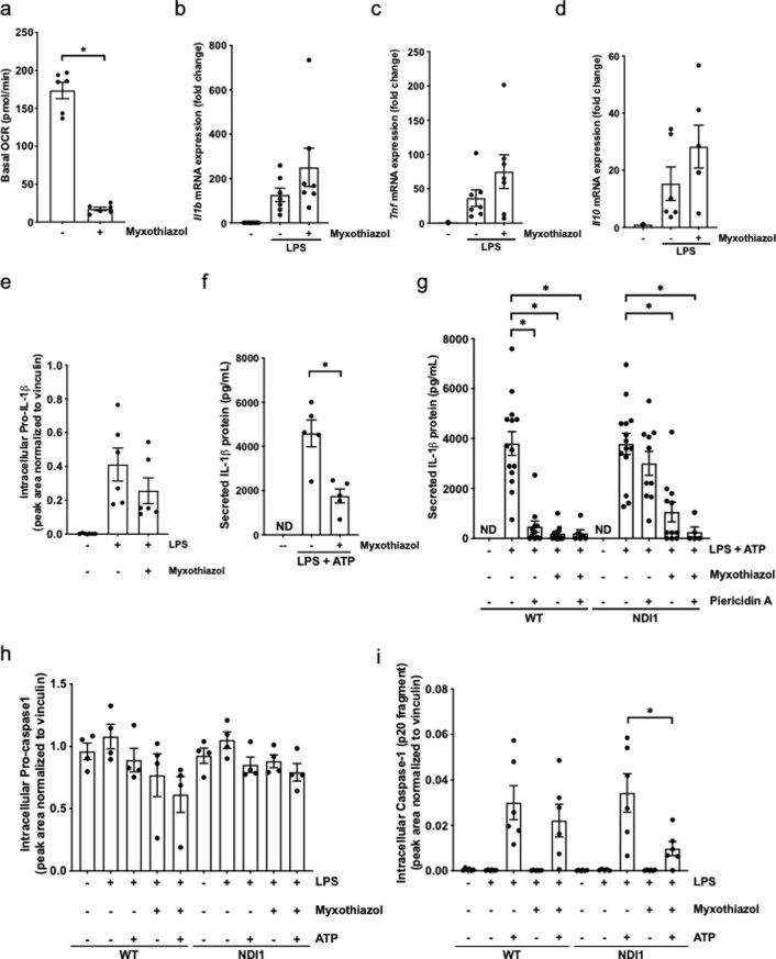 https://cdn.ncbi.nlm.nih.gov/pmc/blobs/a400/9098388/165714de0733/41590_2022_1185_Fig13_ESM.jpg