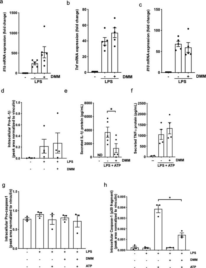 https://cdn.ncbi.nlm.nih.gov/pmc/blobs/a400/9098388/83e7fc1cfd42/41590_2022_1185_Fig9_ESM.jpg