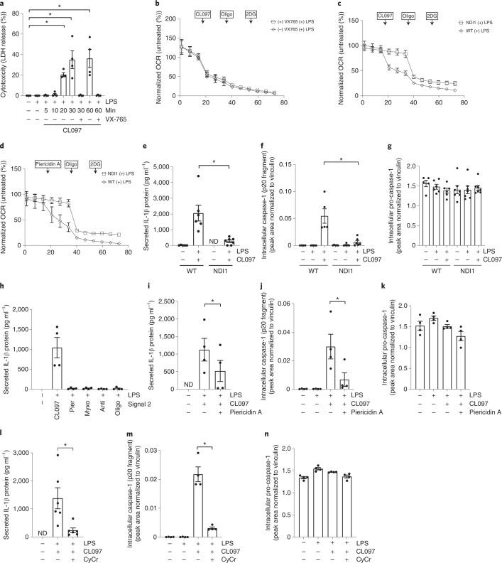 https://cdn.ncbi.nlm.nih.gov/pmc/blobs/a400/9098388/983848f8242b/41590_2022_1185_Fig6_HTML.jpg
