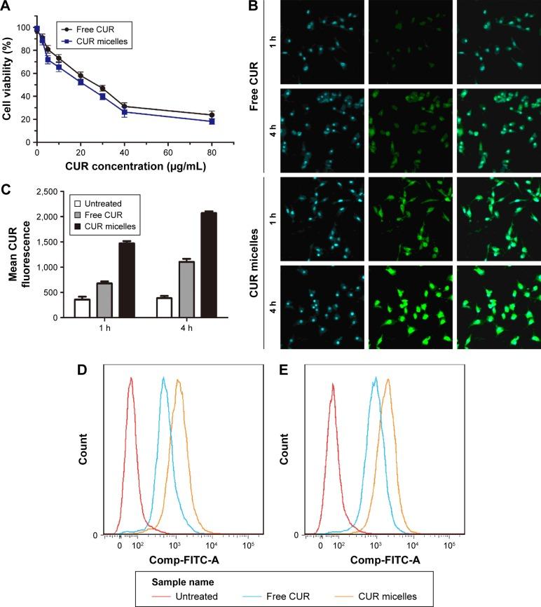 https://cdn.ncbi.nlm.nih.gov/pmc/blobs/a402/5388225/8de8c9a7e596/ijn-12-2621Fig3.jpg