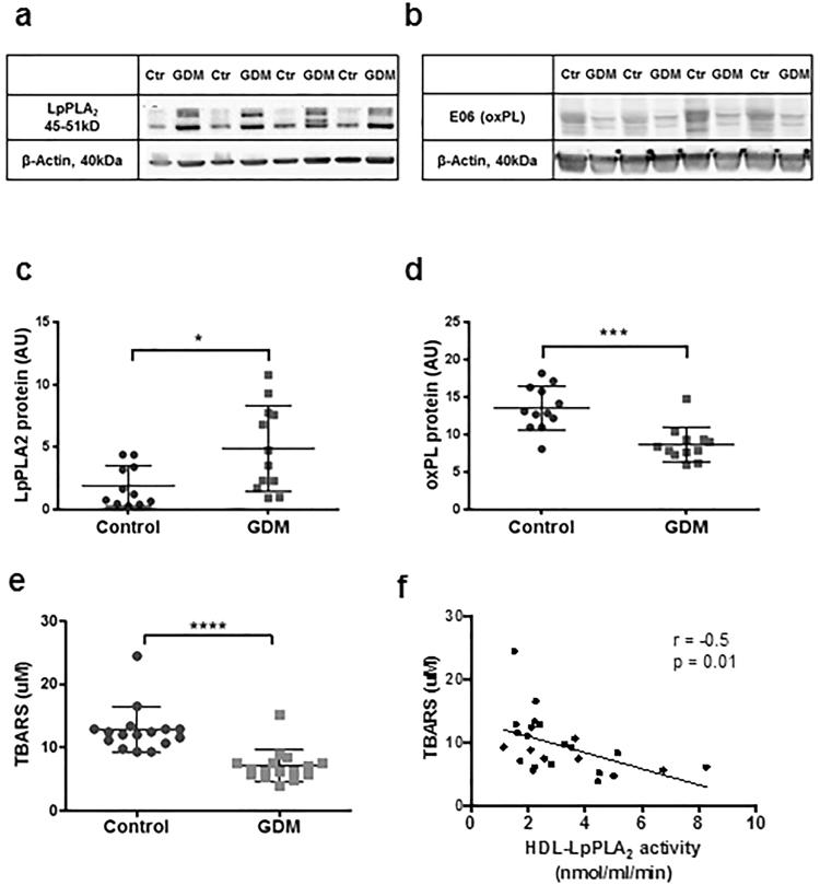 https://cdn.ncbi.nlm.nih.gov/pmc/blobs/a402/5626711/47b7c8dfbb84/41598_2017_13051_Fig7_HTML.jpg