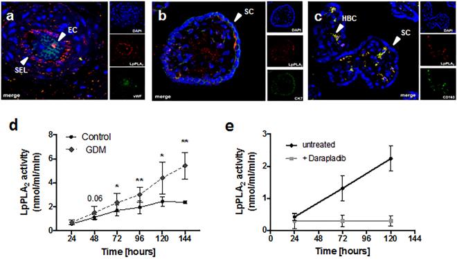 https://cdn.ncbi.nlm.nih.gov/pmc/blobs/a402/5626711/6a529c92a752/41598_2017_13051_Fig2_HTML.jpg