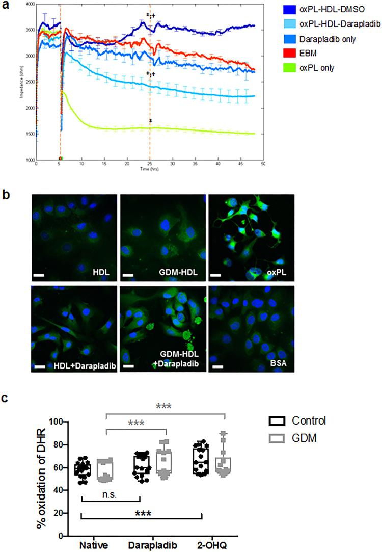 https://cdn.ncbi.nlm.nih.gov/pmc/blobs/a402/5626711/c9a6f6f3dbdb/41598_2017_13051_Fig8_HTML.jpg