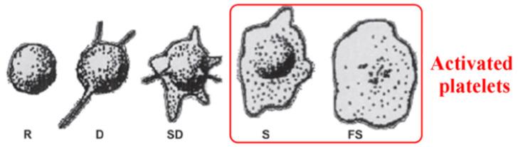 https://cdn.ncbi.nlm.nih.gov/pmc/blobs/a402/8307671/0c0c67b0c528/membranes-11-00533-g005.jpg