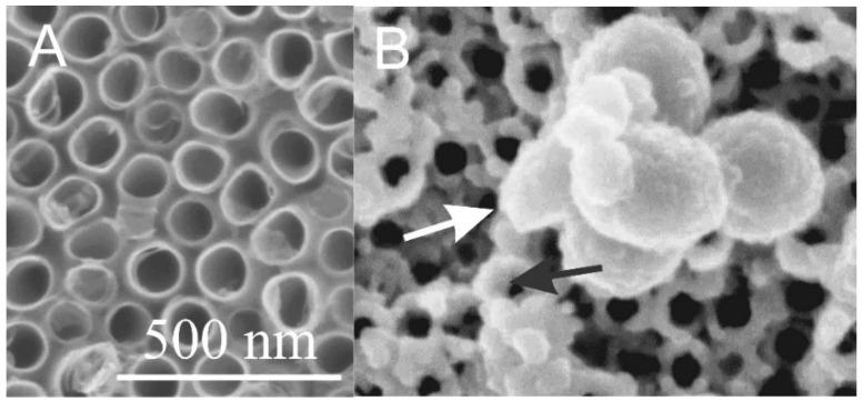 https://cdn.ncbi.nlm.nih.gov/pmc/blobs/a402/8307671/4d35d165836a/membranes-11-00533-g004.jpg