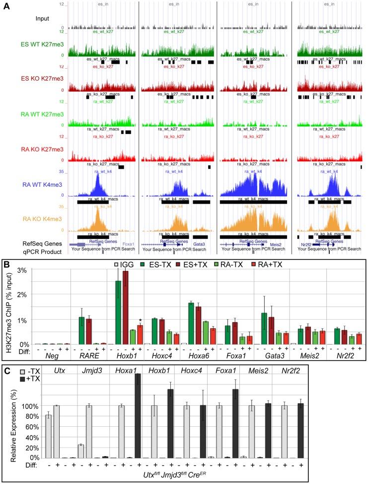 https://cdn.ncbi.nlm.nih.gov/pmc/blobs/a405/4125042/965f4ffeaf28/pgen.1004507.g004.jpg