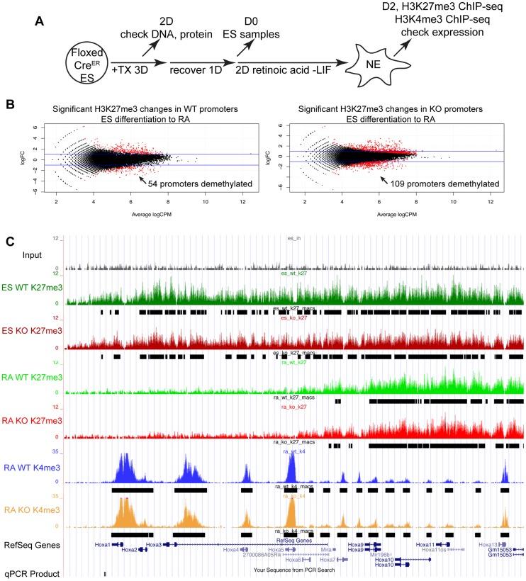 https://cdn.ncbi.nlm.nih.gov/pmc/blobs/a405/4125042/c55f684fb507/pgen.1004507.g003.jpg