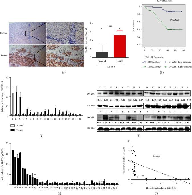https://cdn.ncbi.nlm.nih.gov/pmc/blobs/a405/9110222/61255595ee33/JO2022-2292481.007.jpg
