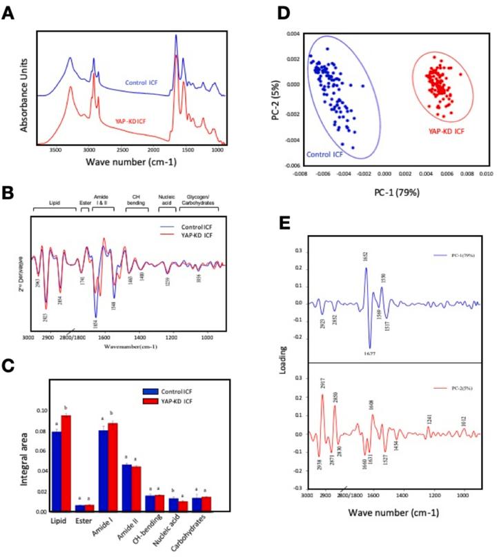 https://cdn.ncbi.nlm.nih.gov/pmc/blobs/a406/9561743/84980ffe1f17/gr7.jpg