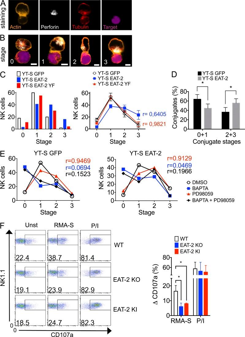 https://cdn.ncbi.nlm.nih.gov/pmc/blobs/a40a/3978279/38ddb0947887/JEM_20132038R_Fig10.jpg