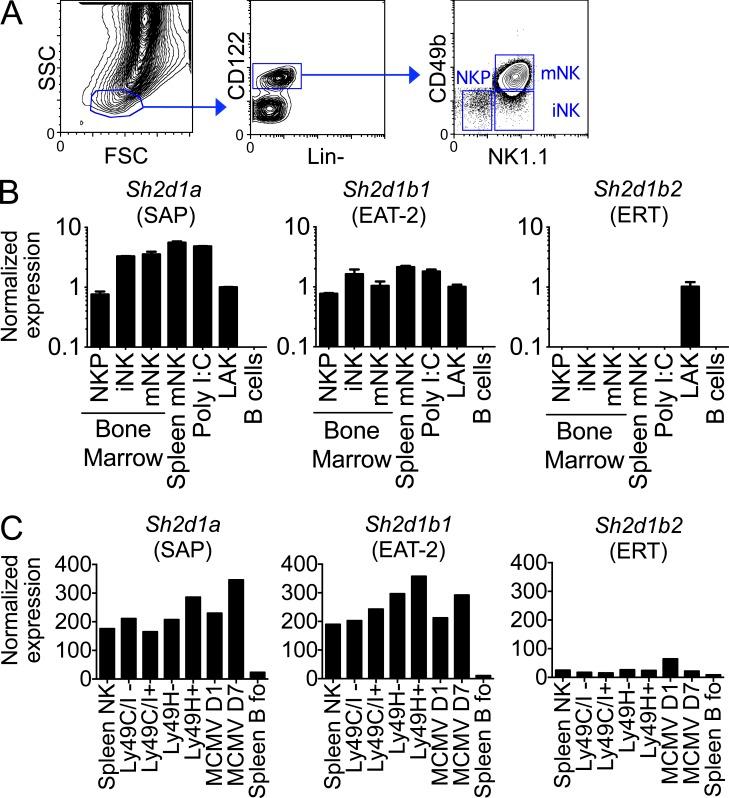 https://cdn.ncbi.nlm.nih.gov/pmc/blobs/a40a/3978279/d3dc213a371e/JEM_20132038_Fig1.jpg