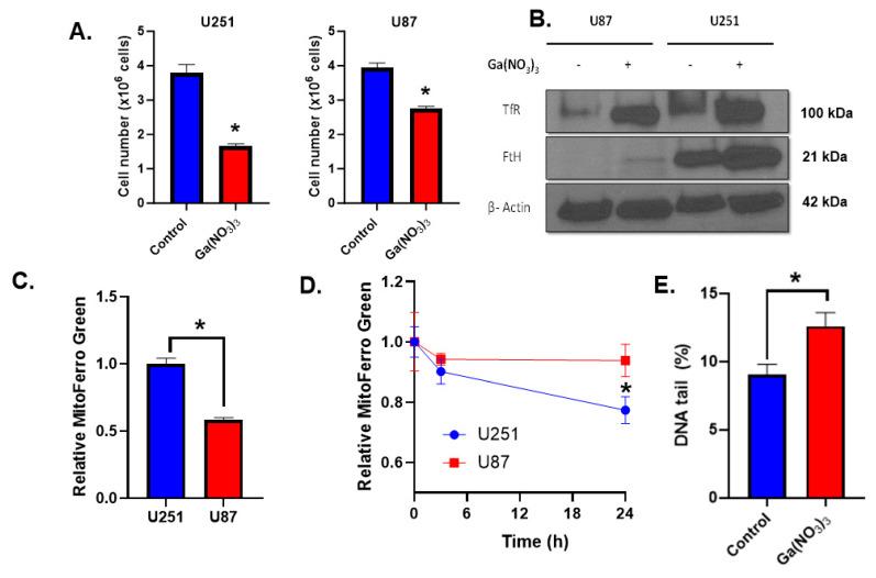 https://cdn.ncbi.nlm.nih.gov/pmc/blobs/a40b/11432413/44d450d36d31/ijms-25-10047-g001.jpg