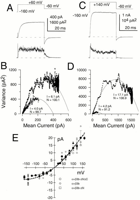 https://cdn.ncbi.nlm.nih.gov/pmc/blobs/a40e/2232397/12c91a743187/JGP8381.f7.jpg