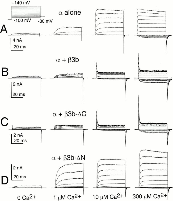 https://cdn.ncbi.nlm.nih.gov/pmc/blobs/a40e/2232397/a51a7ebbaaf0/JGP8381.f1.jpg