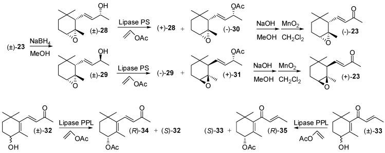 https://cdn.ncbi.nlm.nih.gov/pmc/blobs/a40e/6331875/b8608732cd4b/molecules-20-12817-g005.jpg