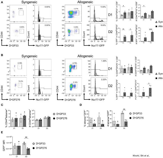 https://cdn.ncbi.nlm.nih.gov/pmc/blobs/a410/10748599/6f4694fa6386/fimmu-14-1287546-g004.jpg