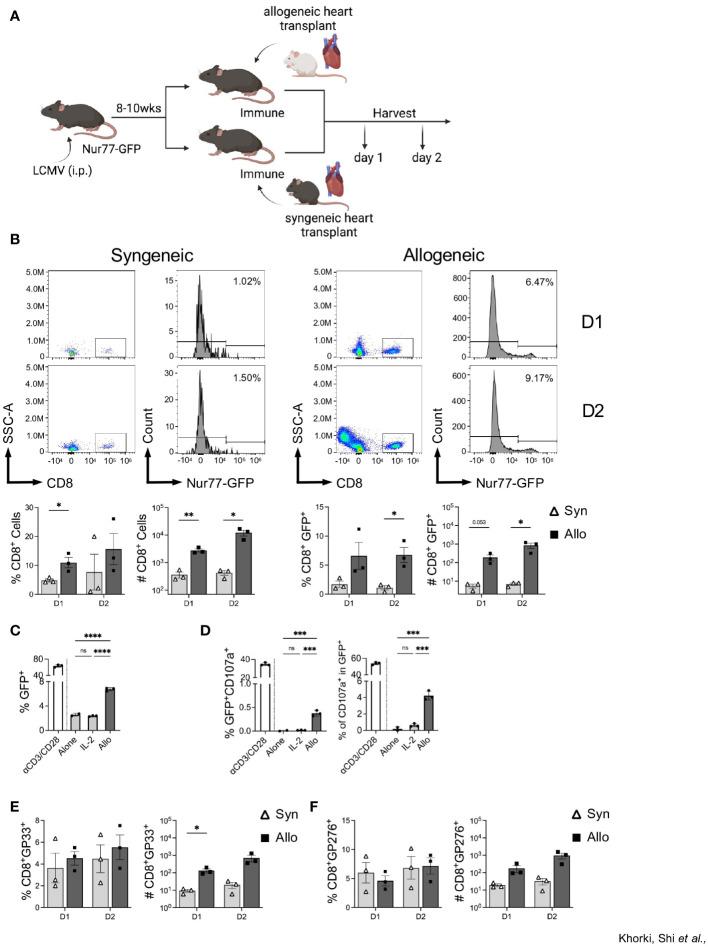 https://cdn.ncbi.nlm.nih.gov/pmc/blobs/a410/10748599/fb43c7ea7459/fimmu-14-1287546-g003.jpg