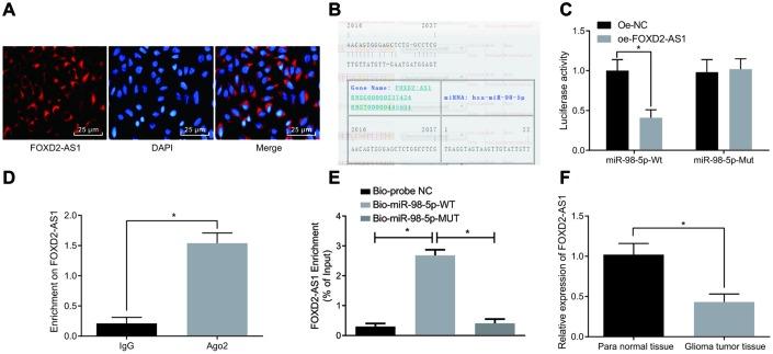 https://cdn.ncbi.nlm.nih.gov/pmc/blobs/a410/6914387/00b4b5139b01/aging-11-102455-g006.jpg