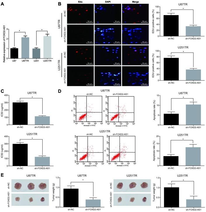https://cdn.ncbi.nlm.nih.gov/pmc/blobs/a410/6914387/19c13c90dce4/aging-11-102455-g004.jpg