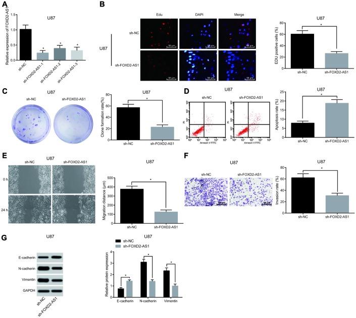 https://cdn.ncbi.nlm.nih.gov/pmc/blobs/a410/6914387/68c12f5502cb/aging-11-102455-g002.jpg